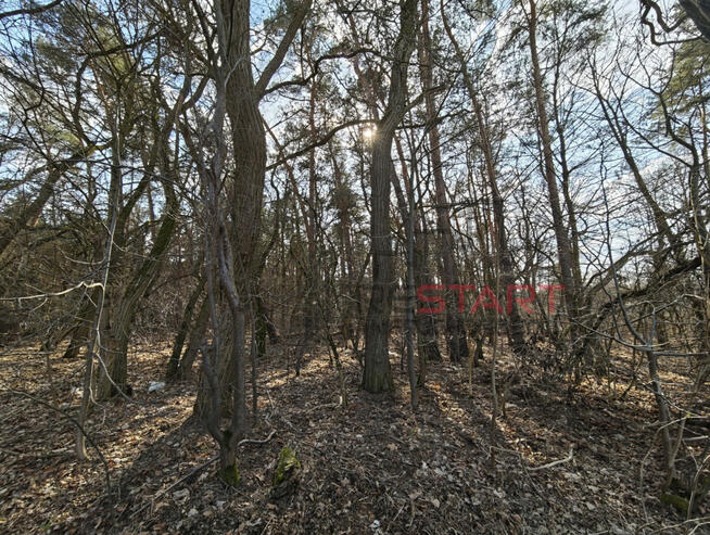 Działka budowlana Książenice gm. Grodzisk Mazowiecki,