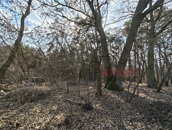 Działka budowlana Książenice gm. Grodzisk Mazowiecki,