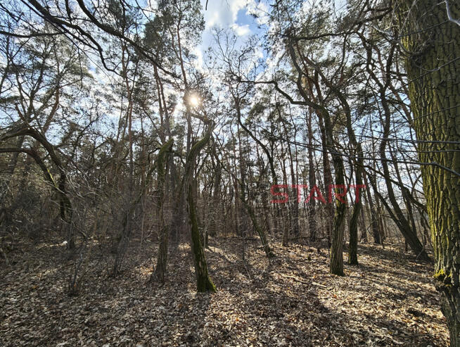 Działka budowlana Książenice gm. Grodzisk Mazowiecki,