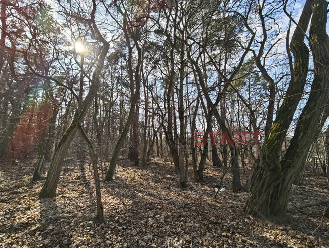 Działka budowlana Książenice gm. Grodzisk Mazowiecki,