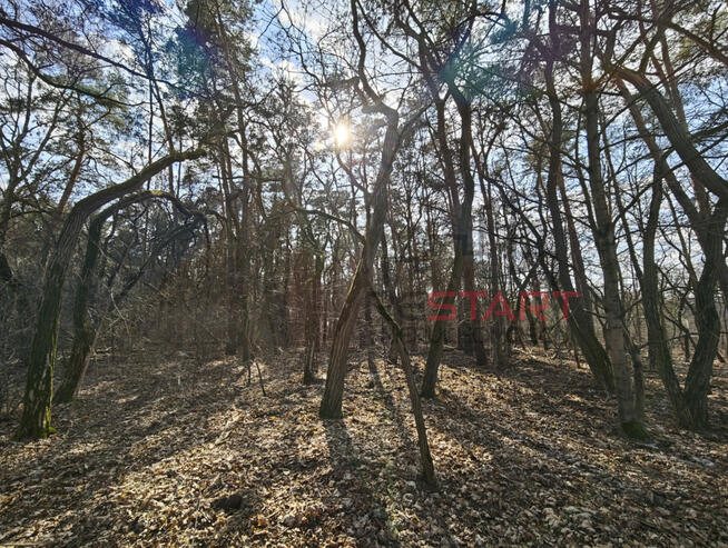 Działka budowlana Książenice gm. Grodzisk Mazowiecki,