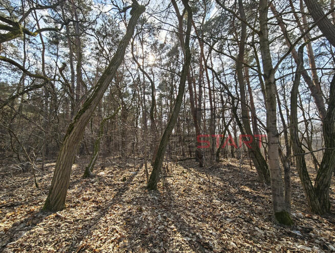 Działka budowlana Książenice gm. Grodzisk Mazowiecki,