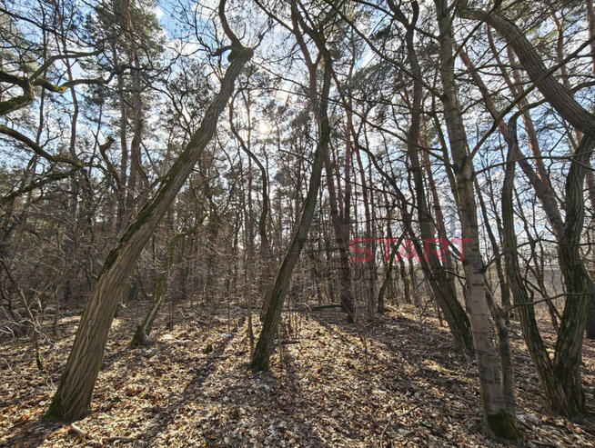 Działka budowlana Książenice gm. Grodzisk Mazowiecki,