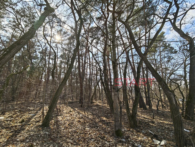 Działka budowlana Książenice gm. Grodzisk Mazowiecki,