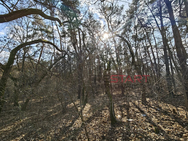 Działka budowlana Książenice gm. Grodzisk Mazowiecki,