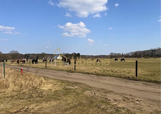 Działka 1506 m2 Białuń, ul. Jarzębinowa - MPZP