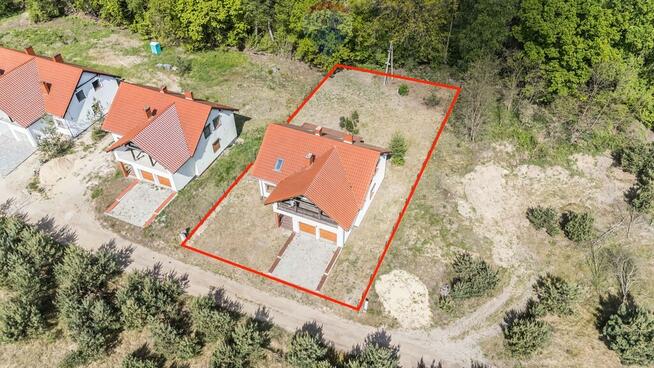 WOLNOSTOJĄCY | LAS | CISZA | SĘKOWO | natura