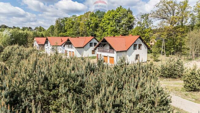 WOLNOSTOJĄCY | LAS | CISZA | SĘKOWO | natura