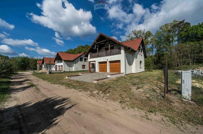 WOLNOSTOJĄCY | LAS | CISZA | SĘKOWO | natura