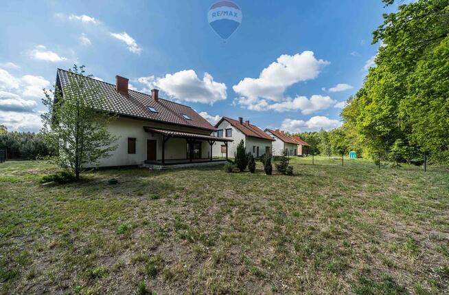 WOLNOSTOJĄCY | LAS | CISZA | SĘKOWO | natura