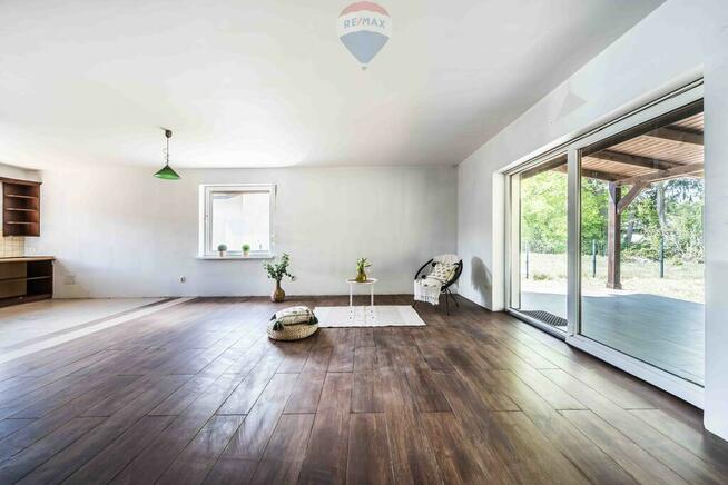 WOLNOSTOJĄCY | LAS | CISZA | SĘKOWO | natura