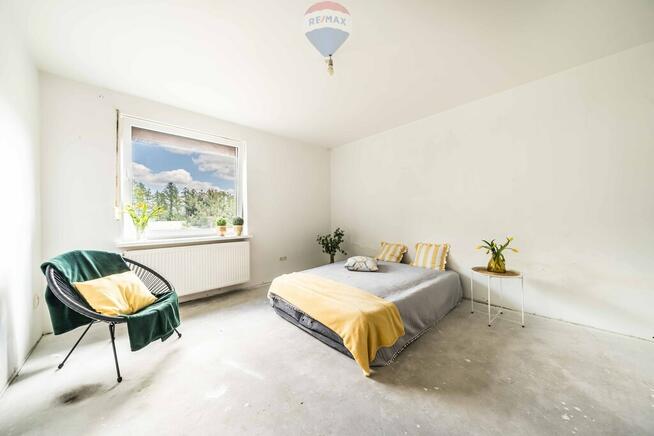 WOLNOSTOJĄCY | LAS | CISZA | SĘKOWO | natura