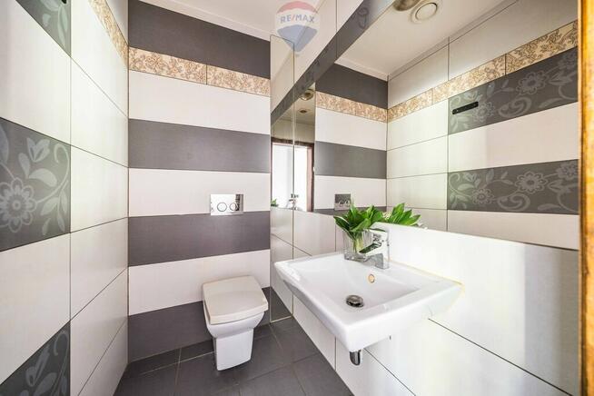 WOLNOSTOJĄCY | LAS | CISZA | SĘKOWO | natura