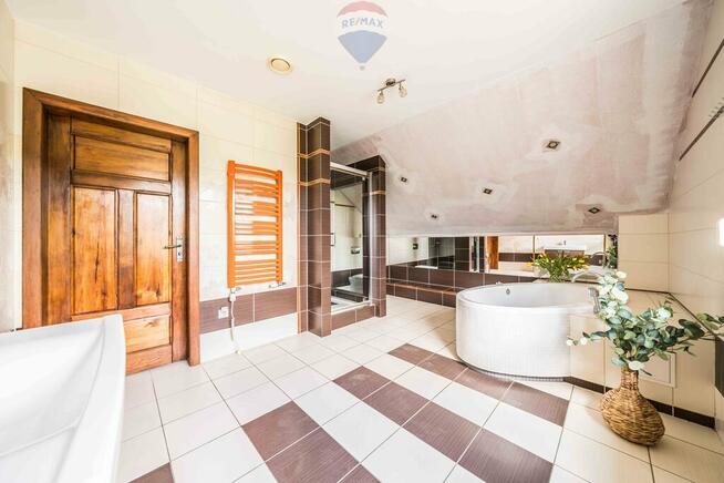 WOLNOSTOJĄCY | LAS | CISZA | SĘKOWO | natura