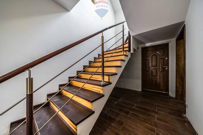 WOLNOSTOJĄCY | LAS | CISZA | SĘKOWO | natura