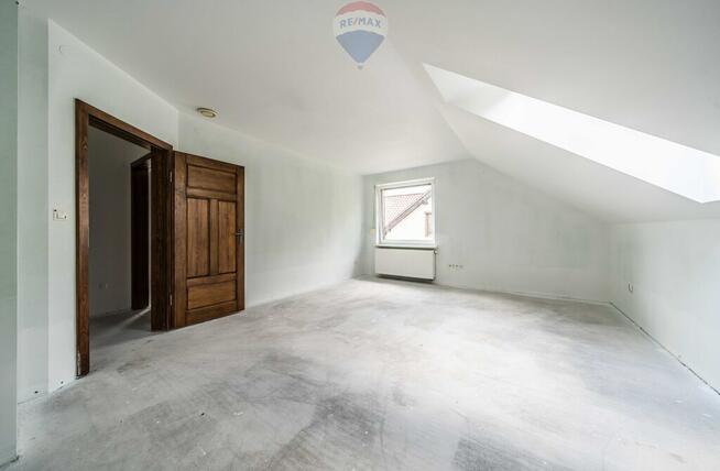 WOLNOSTOJĄCY | LAS | CISZA | SĘKOWO | natura