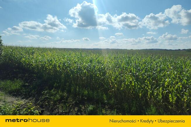 Działka rolna 3,08 ha w pobliżu lasu i jeziora.