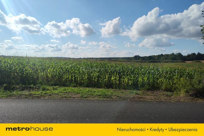 Działka rolna 3,08 ha w pobliżu lasu i jeziora.