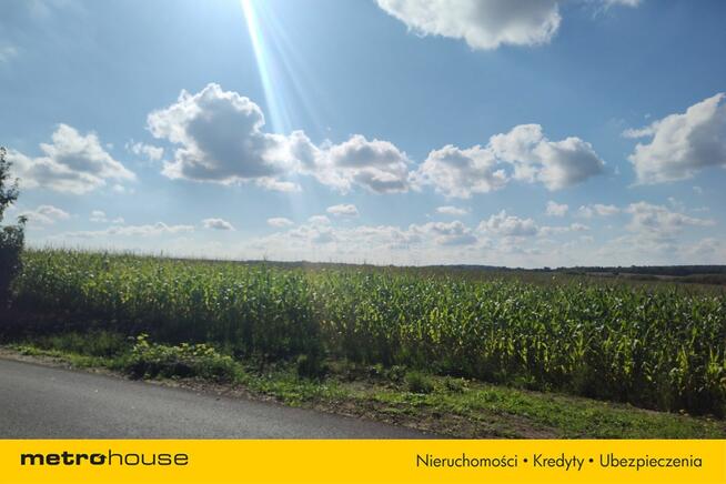 Działka rolna 3,08 ha w pobliżu lasu i jeziora.