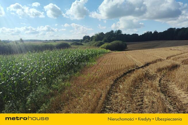 Działka rolna w Urowie z warunkami zabudowy.
