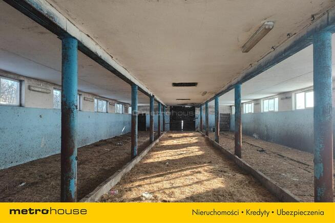 Siedlisko pod agroturystykę, dom plus budynki gosp