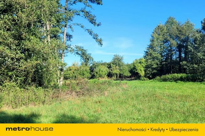 Okazja! 3-hektarowe gospodarstwo w Głowaczowie