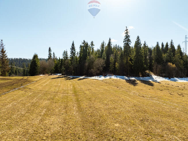 Działka z WZ w Zaskale