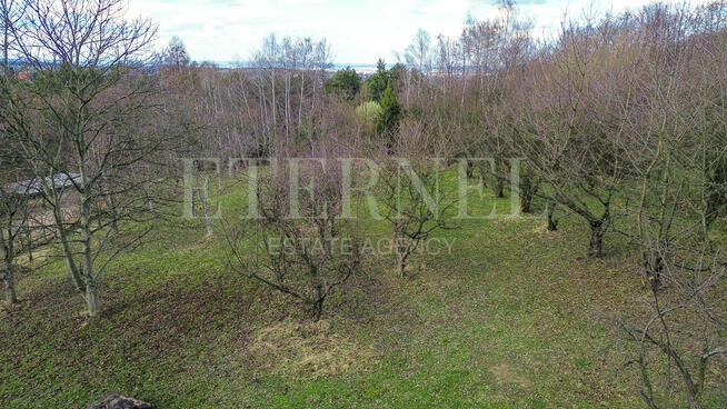 Dom jednorodzinny z działką 52 ary - Siercza