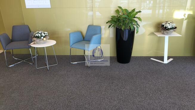 Lokal użytkowy Warszawa Mokotów, al. Wilanowska