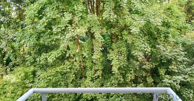 2-pokojowe mieszkanie na Pradze-Południe