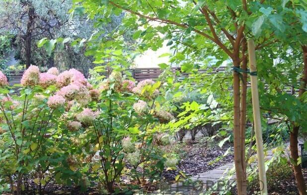 2-pokojowe mieszkanie na Woli