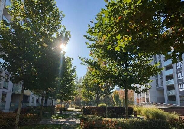 2-pokojowe mieszkanie na Żoliborzu