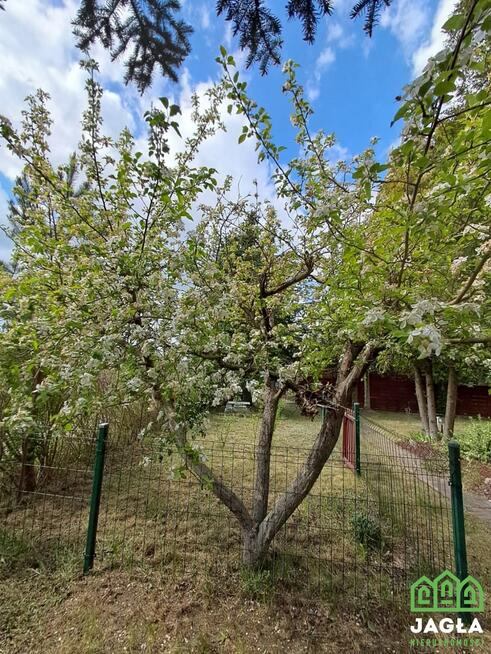 Działka siedliskowa Żurczyn gm. Szubin