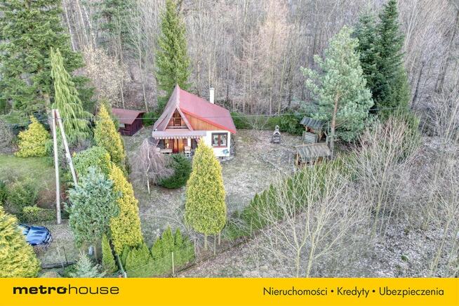 Dom rekreacyjny w lesie nad potokiem.