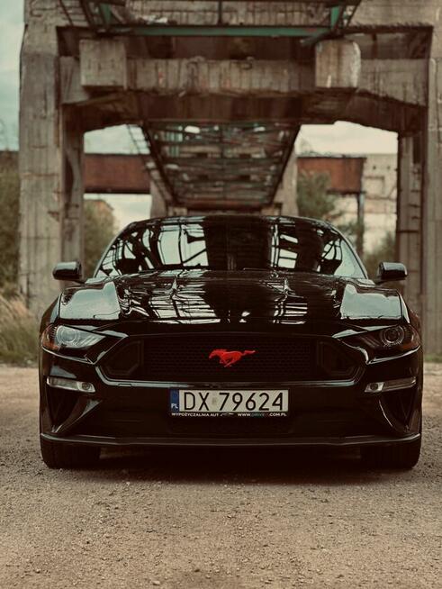 Wynajem Samochod Ford Mustang GT 5.0 - Wypożyczalnia DRIVE I