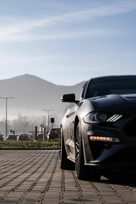Wynajem Samochod Ford Mustang GT 5.0 - Wypożyczalnia DRIVE I
