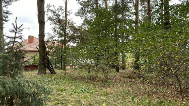 Dom z lasem łącznie 2500m2