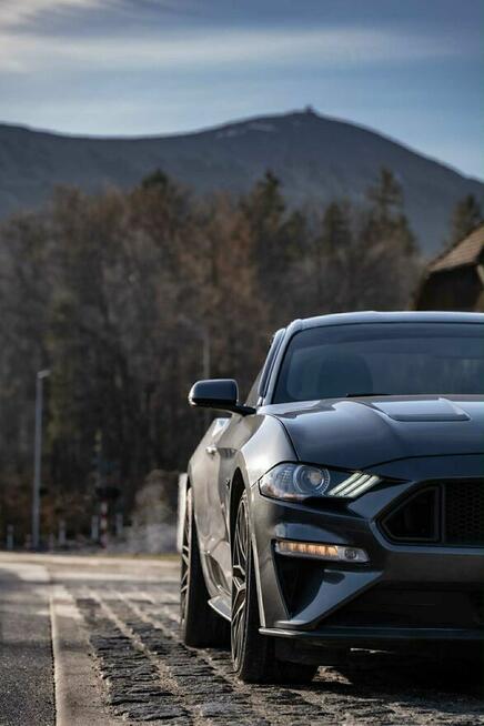Wynajem Samochod Ford Mustang GT 5.0 - Wypożyczalnia DRIVE I