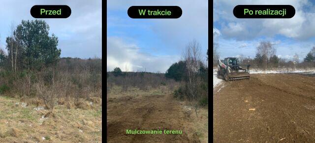 Czyszczenie działki i wycinka drzew - Trójmiasto I Kaszuby