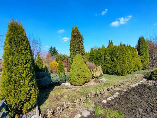 Działka ROD w Chodzieży