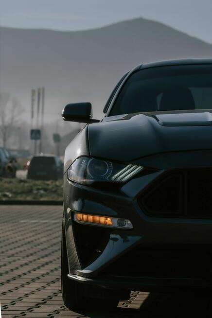 Wynajem Samochod Ford Mustang GT 5.0 - Wypożyczalnia DRIVE I