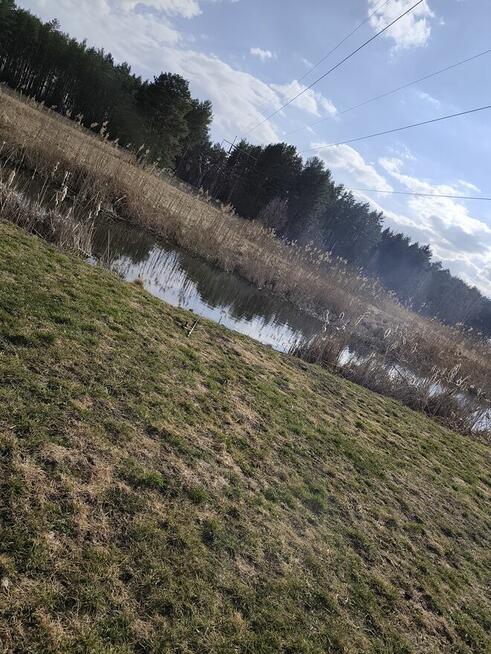 2 działki na sprzedaż rolno ogrodowe Ełk