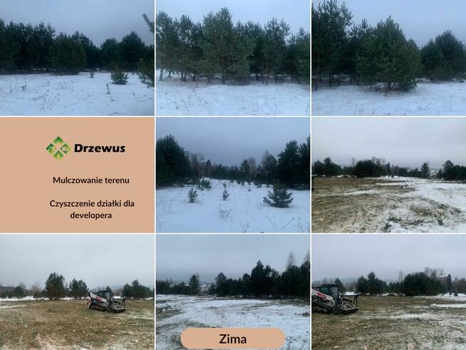 Czyszczenie działki i wycinka drzew - Trójmiasto I Kaszuby