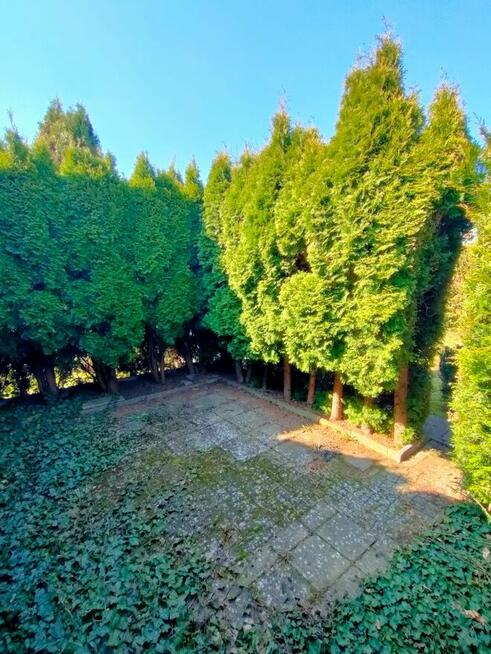 Działka ROD w Chodzieży