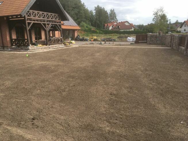 Czyszczenie działki i wycinka drzew - Trójmiasto I Kaszuby