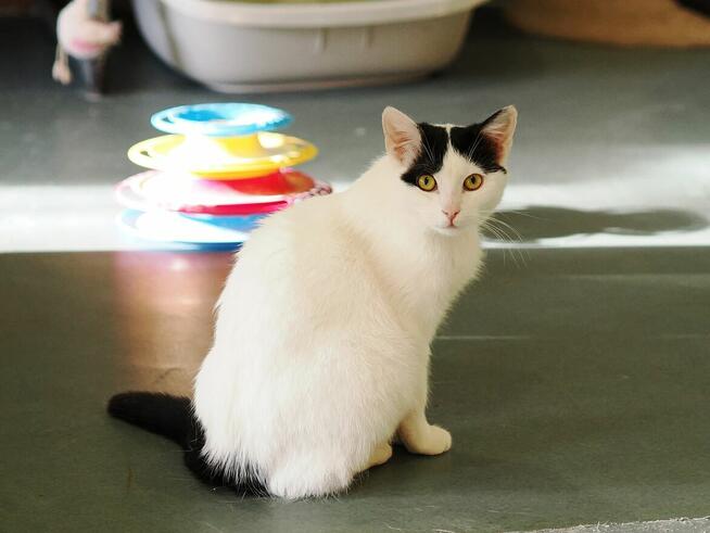 Blue, kto da jej szansę?