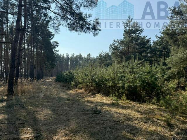 Działka - Niezgoda, gm. Słupca