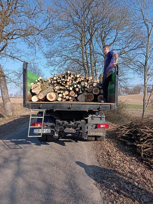 OFERUJĘ DREWNO LIŚCIASTE