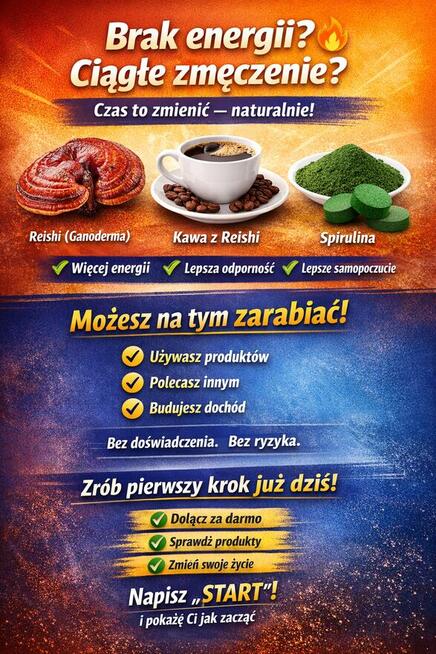 A może potrzebujesz dodatkowego źródła dochodu?