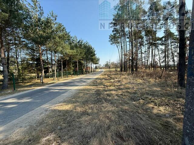 Działka - Niezgoda, gm. Słupca